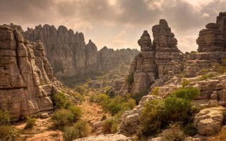 豆瓣情感挽回，情感挽回，重启爱情之旅的五步策略