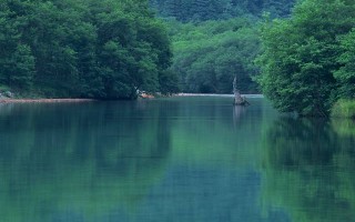 东莞情感挽回，重燃爱火的艺术